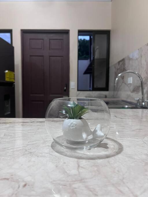 Del Sol #2 Appartement